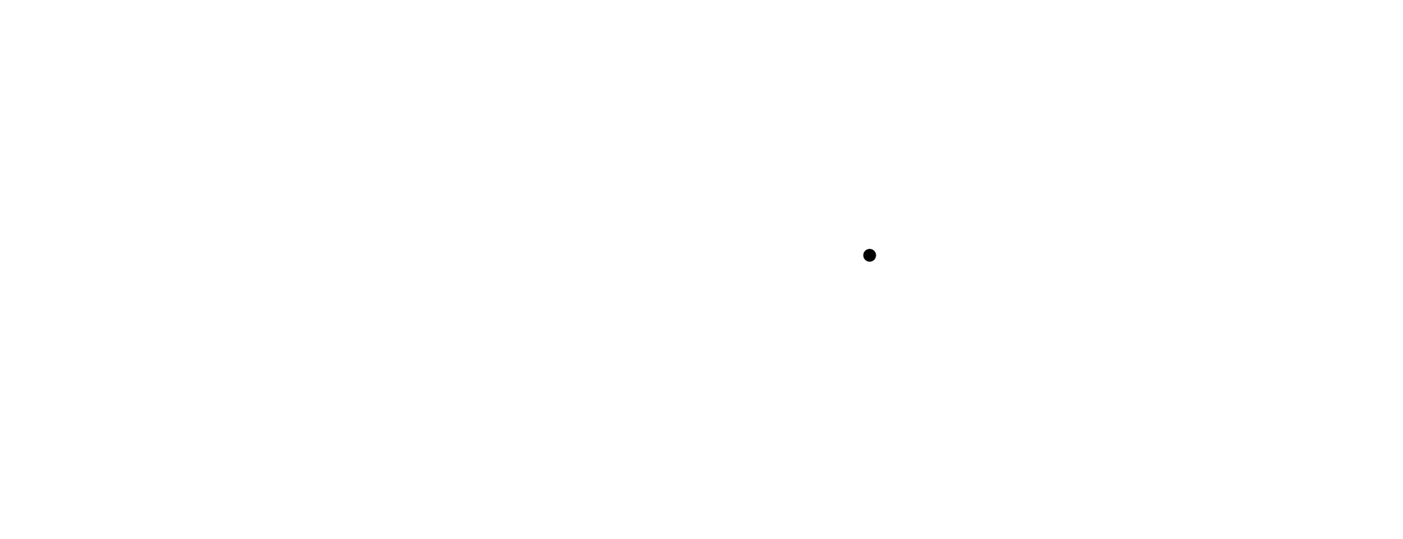 Plaatje The Bear